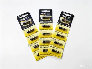 Electric Gate Remote Batteries