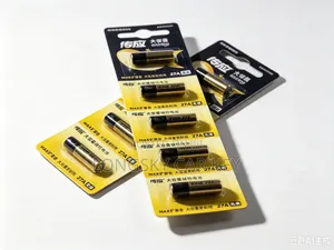 Electric Gate Remote Batteries