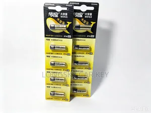 Electric Gate Remote Batteries