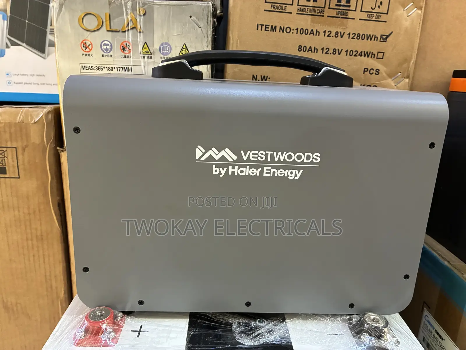 Portable Power Station 1kw