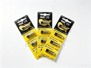 Car Key Batteries for Replacement