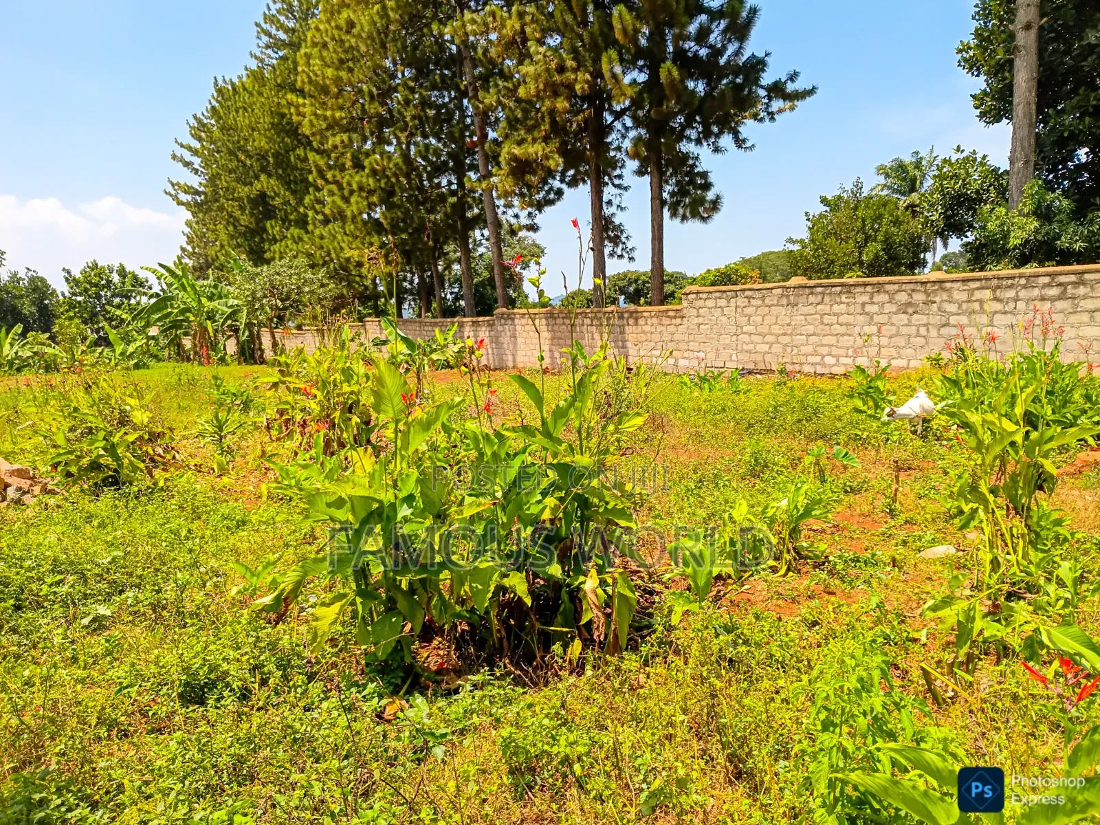 Entebbe Nkumba 25ft by 40ft Plot on Sale