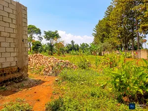 Entebbe Nkumba 25ft by 40ft Plot on Sale