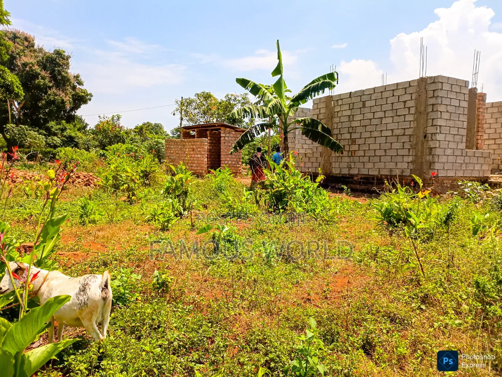 Entebbe Nkumba 25ft by 40ft Plot on Sale