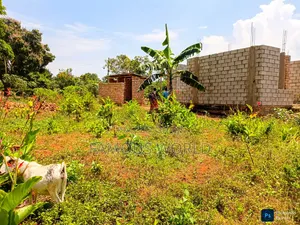 Entebbe Nkumba 25ft by 40ft Plot on Sale