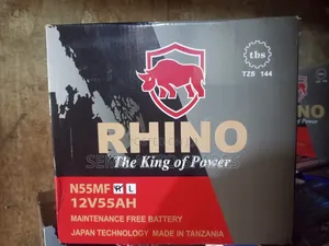 N55 55ah Battery