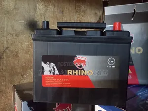 N55 55ah Battery