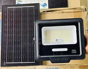 100w Solar Flood Light