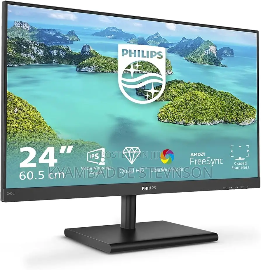 24 Inch IPS Monitor