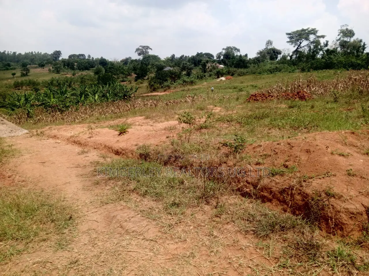 Land for Sale – Matuga