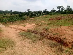 Land for Sale – Matuga
