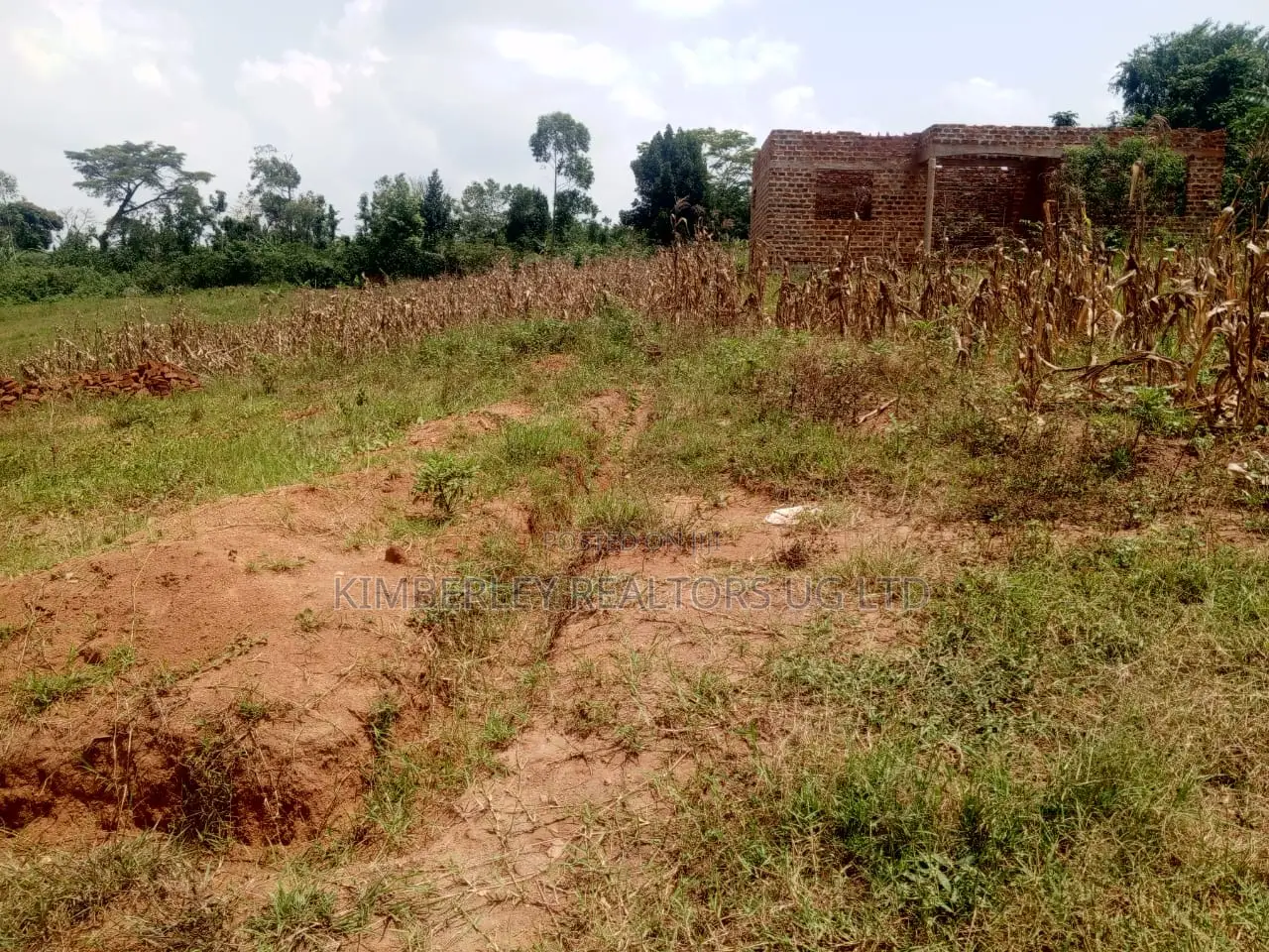 Land for Sale – Matuga