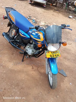 Bajaj CT 125X 2024 Blue