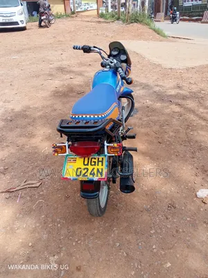 Bajaj CT 125X 2024 Blue