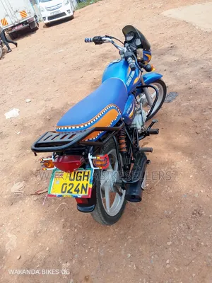 Bajaj CT 125X 2024 Blue