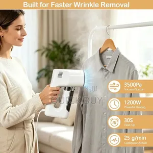 Handheld Vacuum Steam Iron