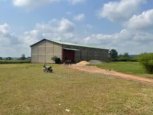 Grain Milling Business for Sale