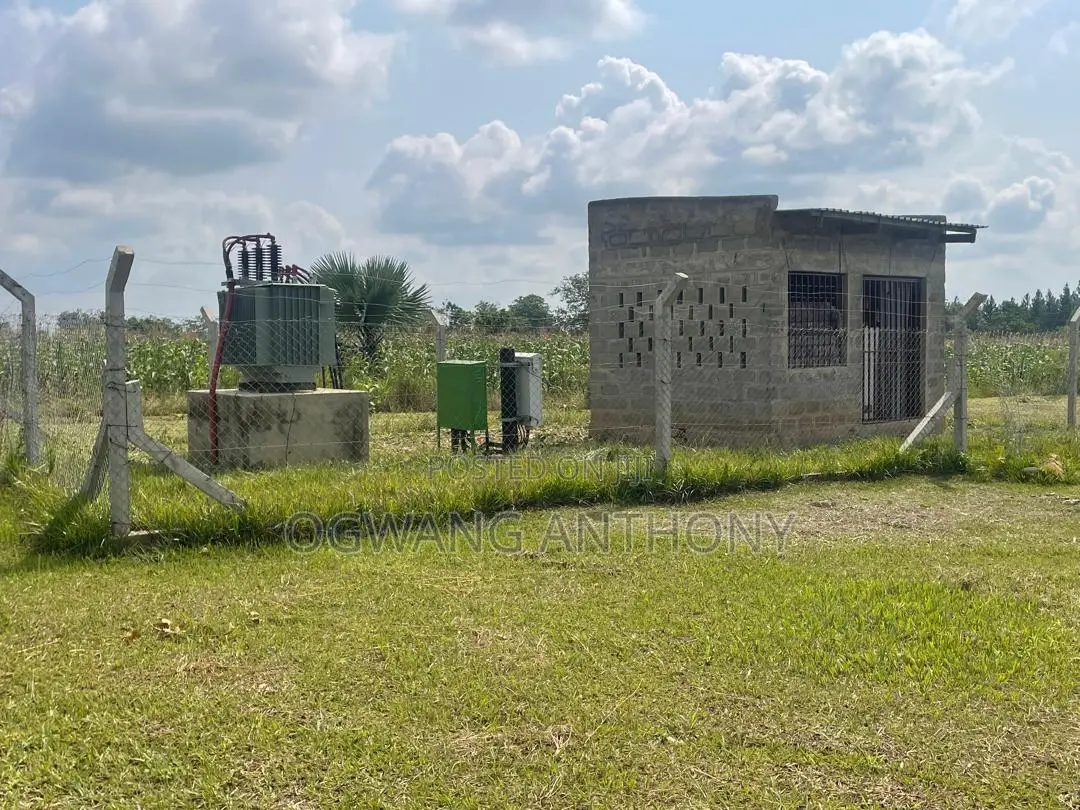 Grain Milling Business for Sale