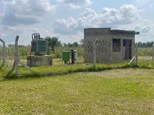 Grain Milling Business for Sale
