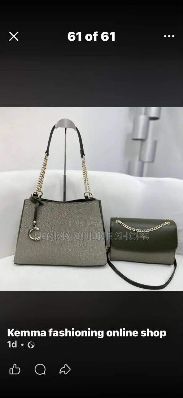 Two Piece Handbag Set