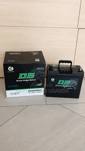 40Ah DG African Dragon N40 Maintenance-Free Car Battery 12V