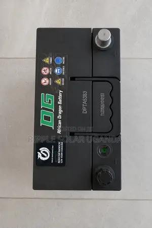 40Ah DG African Dragon N40 Maintenance-Free Car Battery 12V