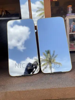Mirror Solution
