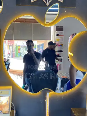 Mirror Solution