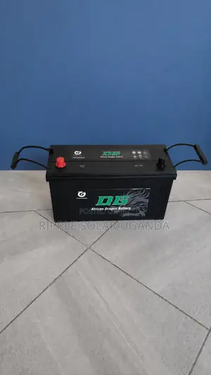 100Ah DG African Dragon N100 Maintenance-Free Car Battery 12V