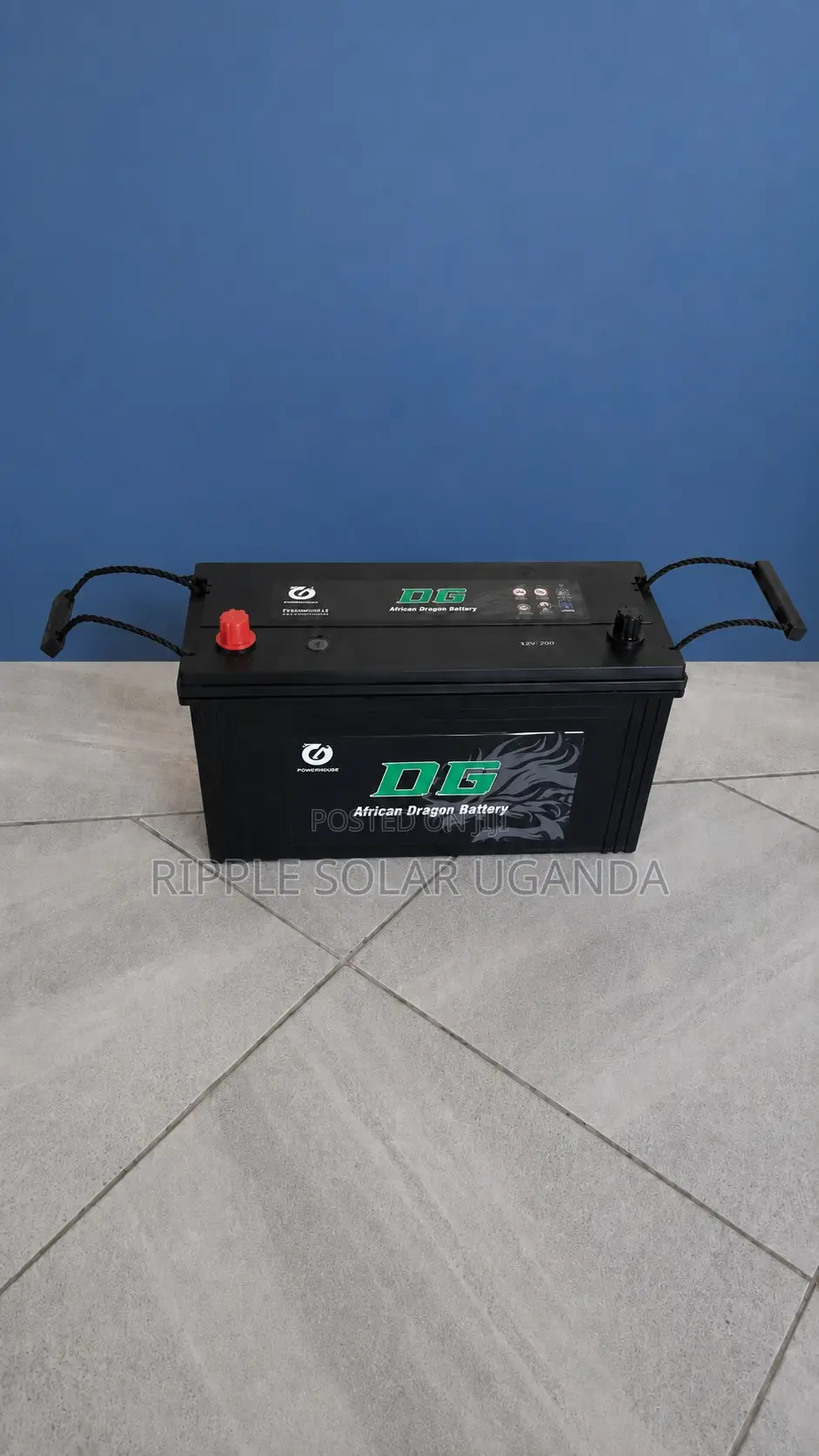100Ah DG African Dragon N100 Maintenance-Free Car Battery 12V