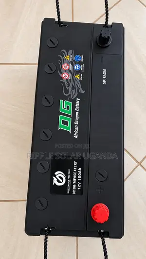 100Ah DG African Dragon N100 Maintenance-Free Car Battery 12V