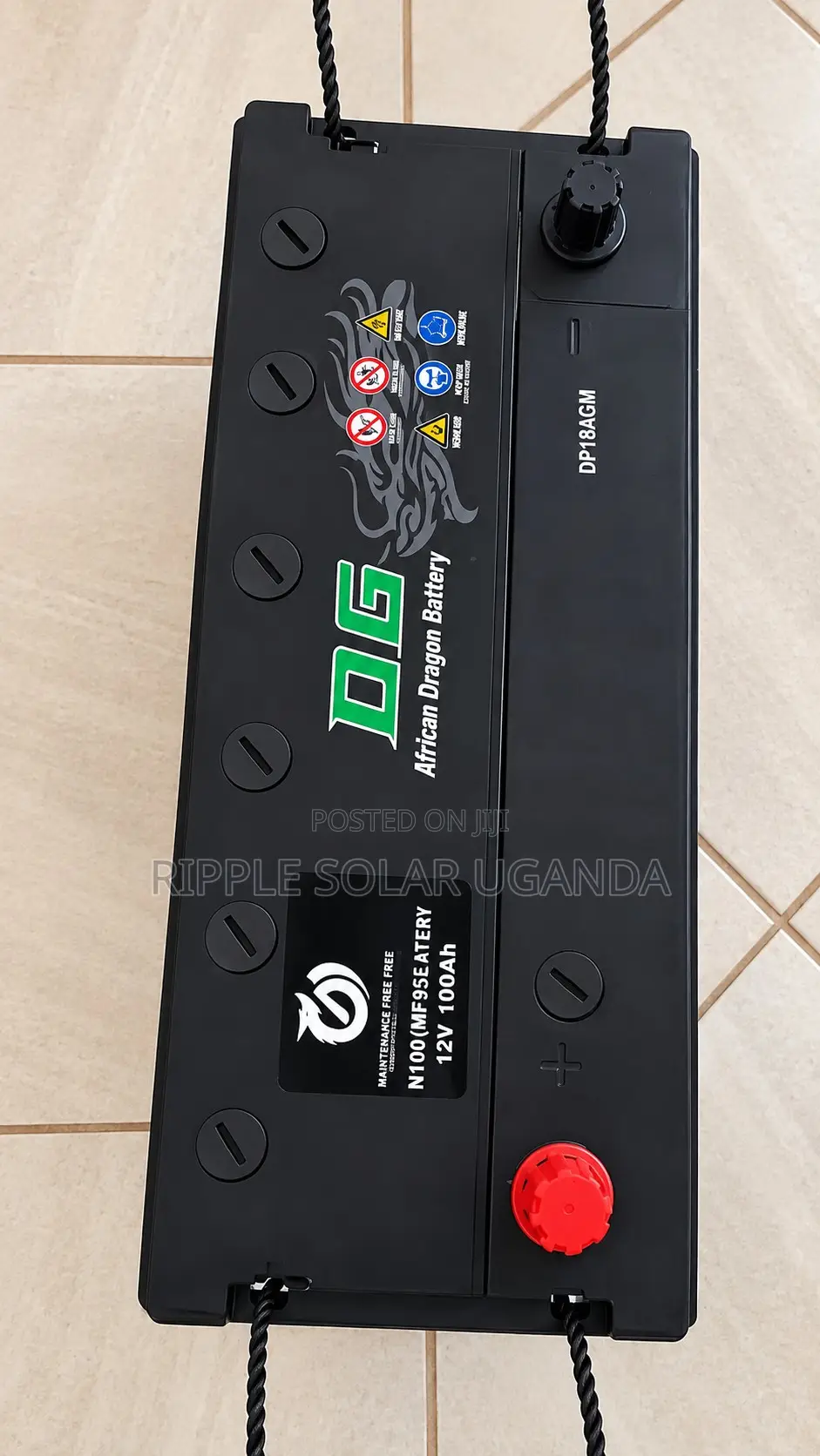 100Ah DG African Dragon N100 Maintenance-Free Car Battery 12V
