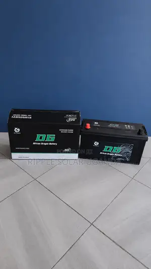 100Ah DG African Dragon N100 Maintenance-Free Car Battery 12V