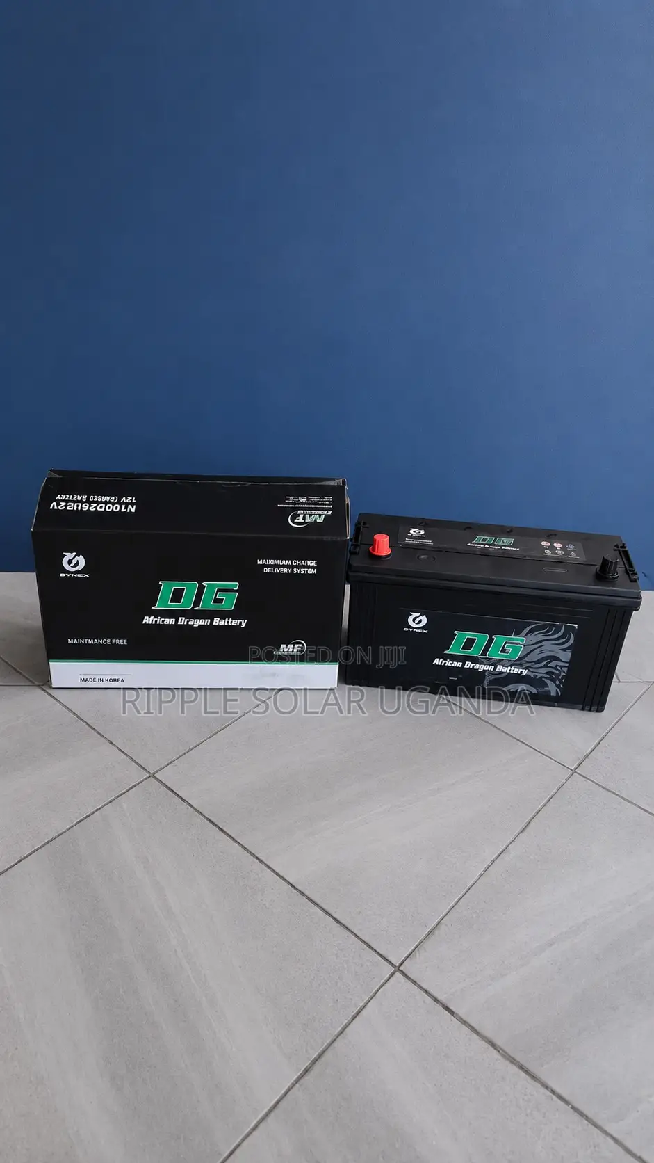100Ah DG African Dragon N100 Maintenance-Free Car Battery 12V
