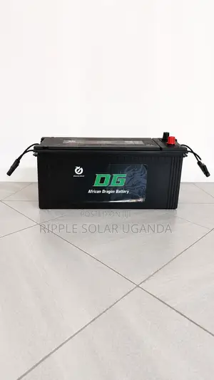 120Ah DG African Dragon N120 Maintenance-Free Car Battery 12V