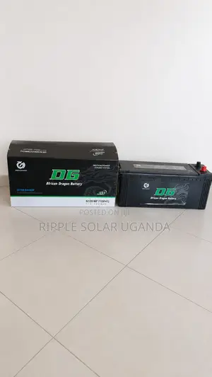 120Ah DG African Dragon N120 Maintenance-Free Car Battery 12V
