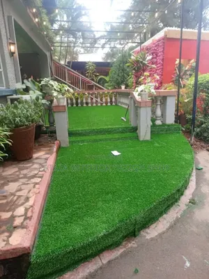 Backyard Grass Carpet