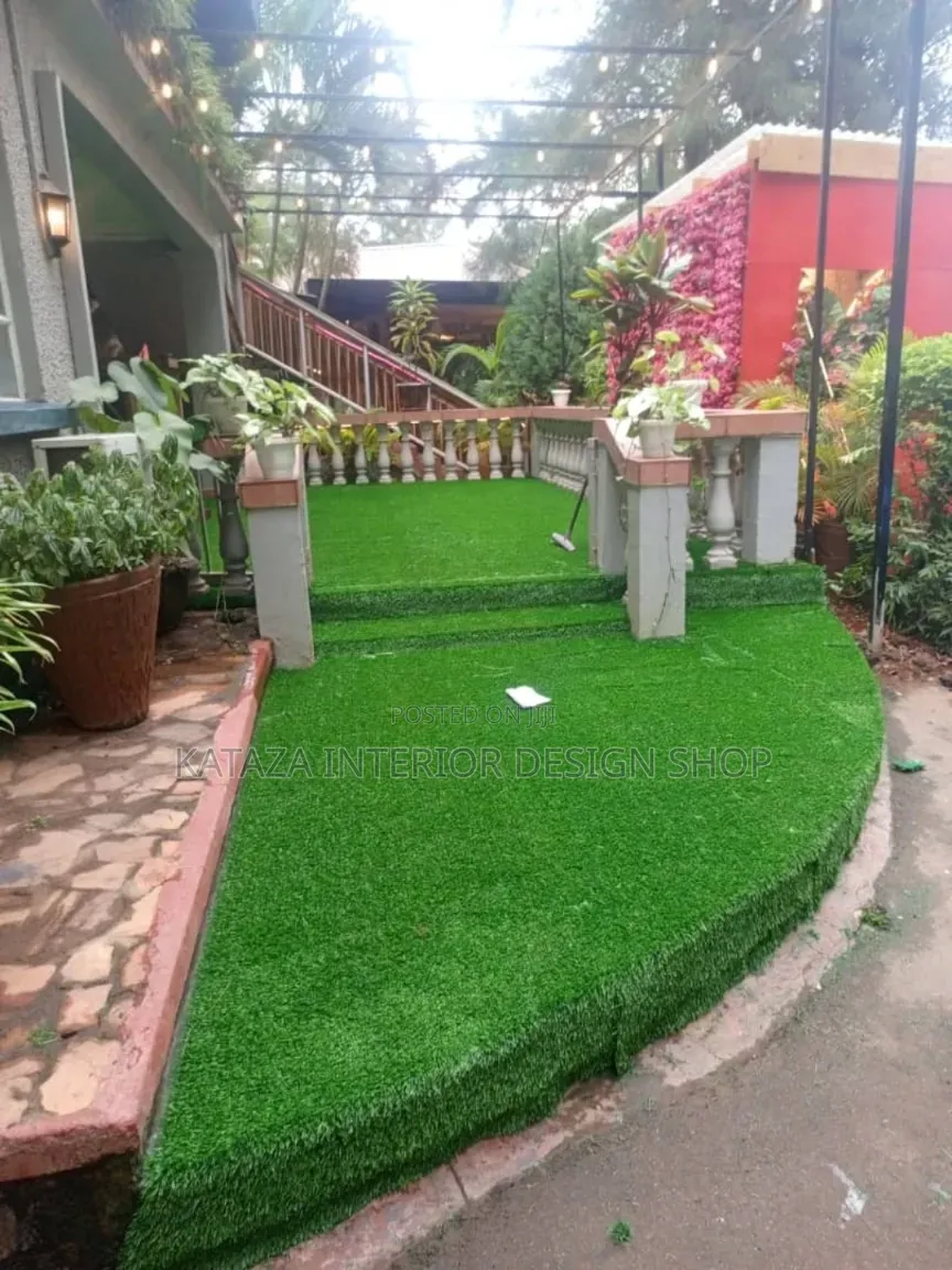 Backyard Grass Carpet