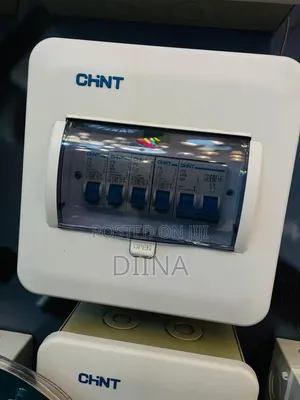 Main Switch Chint
