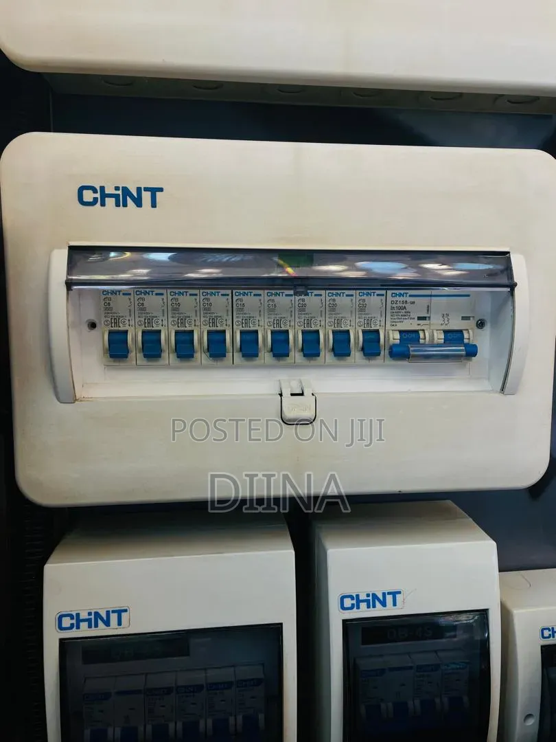 Main Switch Chint