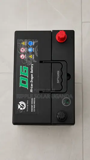 60Ah DG African Dragon N65 Maintenance-Free Car Battery 12V