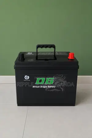60Ah DG African Dragon N65 Maintenance-Free Car Battery 12V