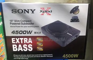 Sony Xplode 10 Inch Speaker