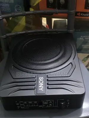 Sony Xplode 10 Inch Speaker