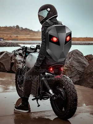 Back Pack for Riders