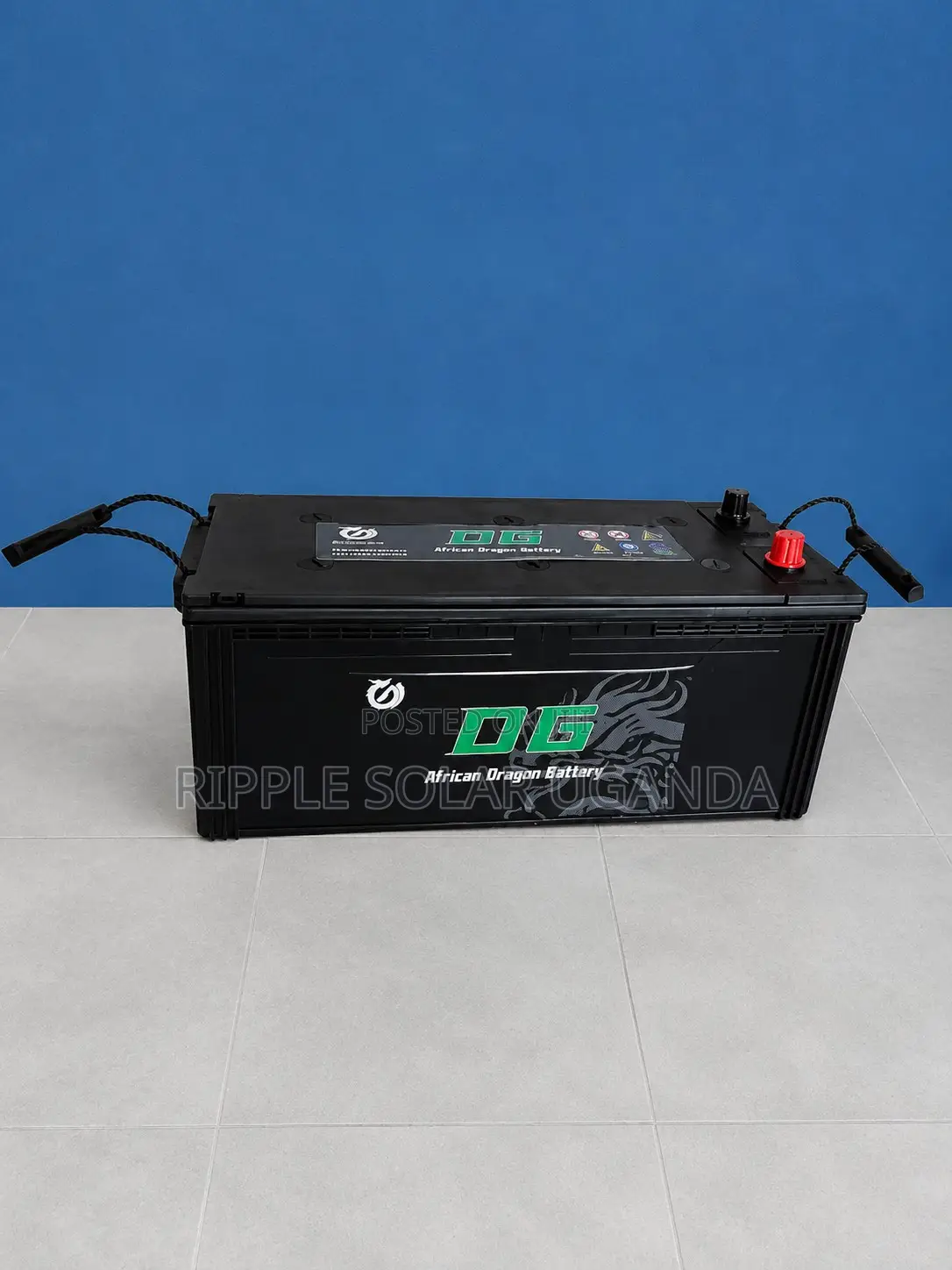 150Ah DG African Dragon N150 Maintenance-Free Car Battery 12V