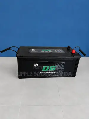 150Ah DG African Dragon N150 Maintenance-Free Car Battery 12V