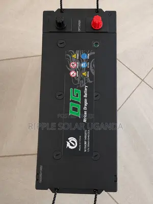 150Ah DG African Dragon N150 Maintenance-Free Car Battery 12V