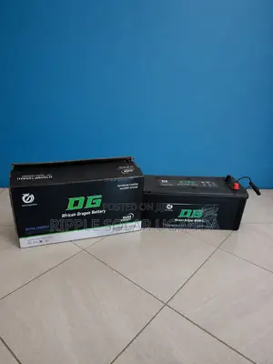 150Ah DG African Dragon N150 Maintenance-Free Car Battery 12V