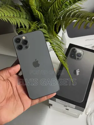 Apple iPhone 12 Pro 256 GB Gray